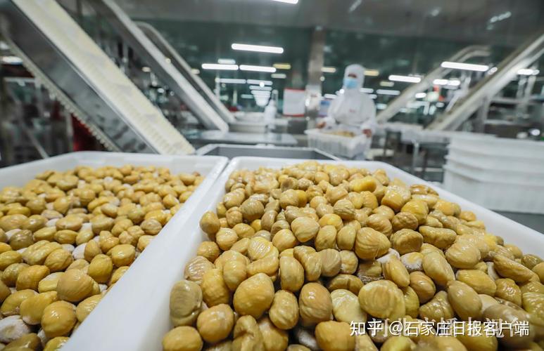 河北遵化 加紧生产赶制出口订单 土特产品走俏海外市场